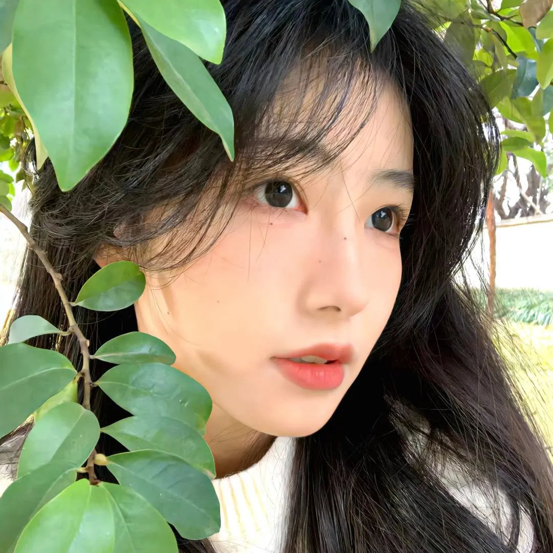 辛十四娘